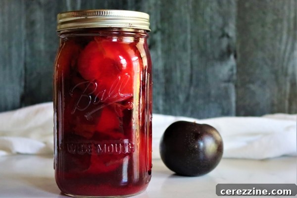 Jars of Canned Plain Plums