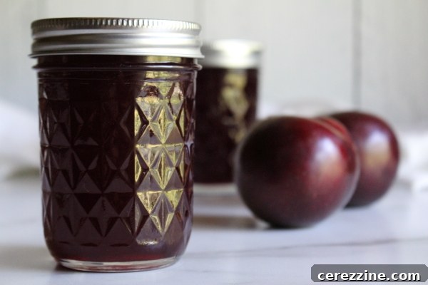 Homemade Plum Jelly in Jars