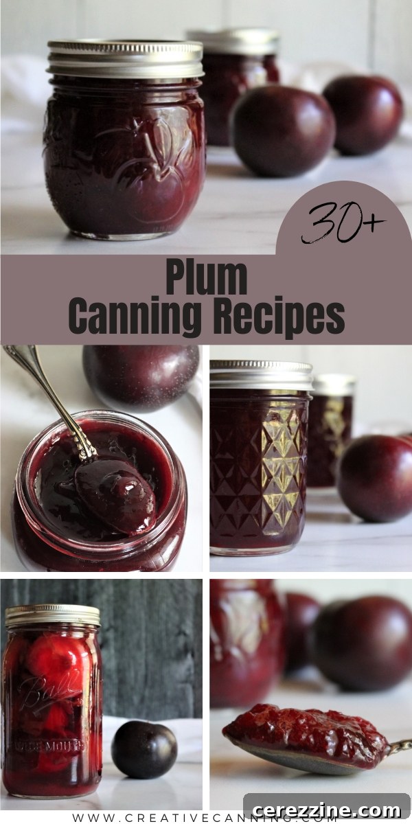Various Jars of Plum Canning Preserves