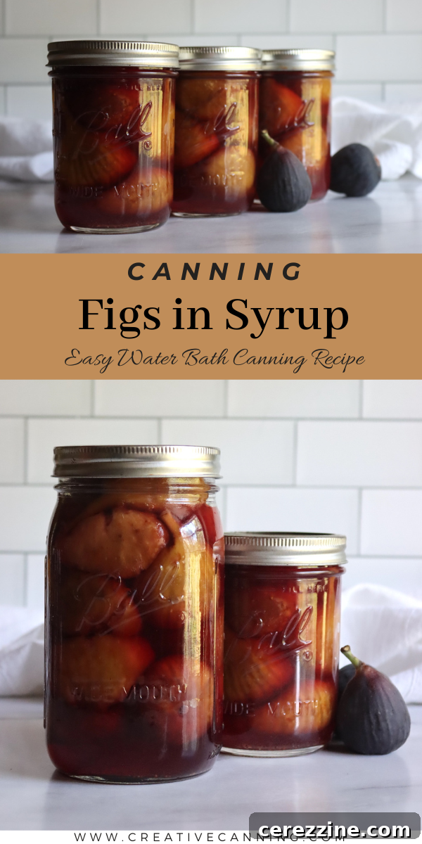 How to Can Figs
