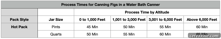 Canning Figs Timetable