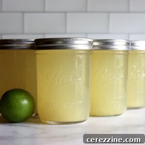 Canning Limeade