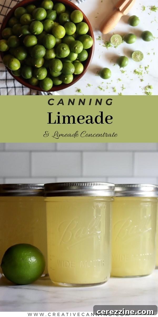Homemade Canned Limeade and Concentrate 7 How to can limeade steps