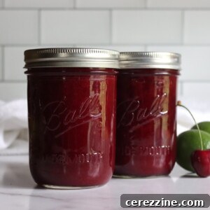 Cherry Limeade Concentrate