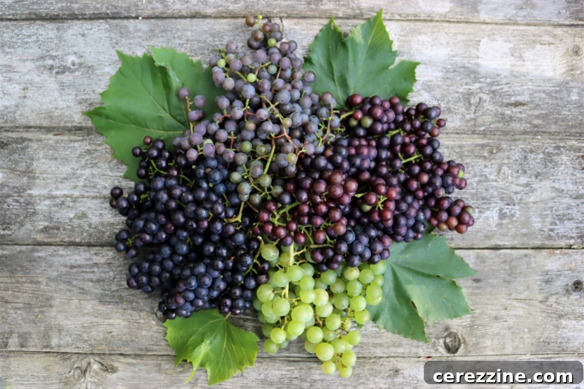 Homegrown grapes