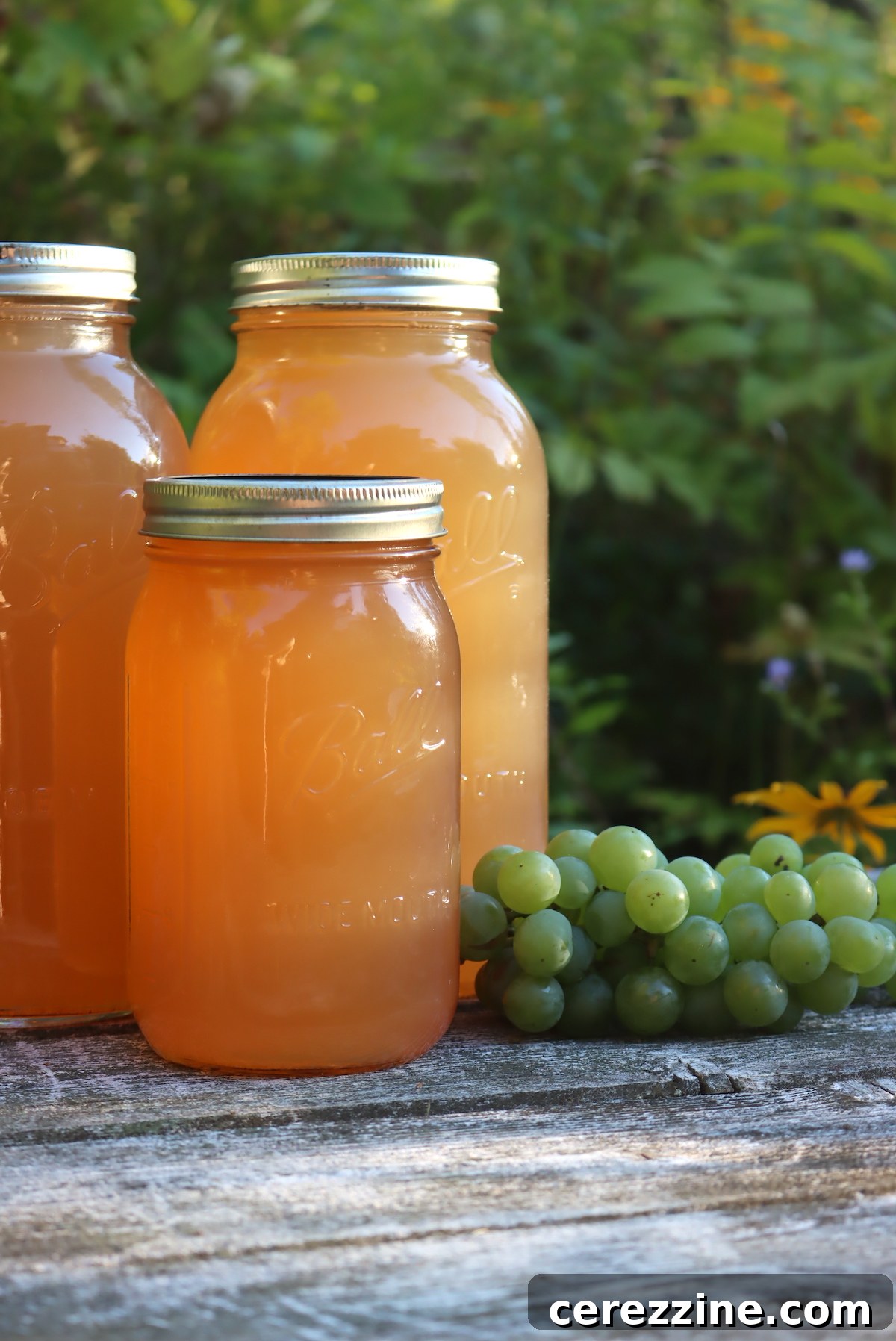 Canning Grape Juice
