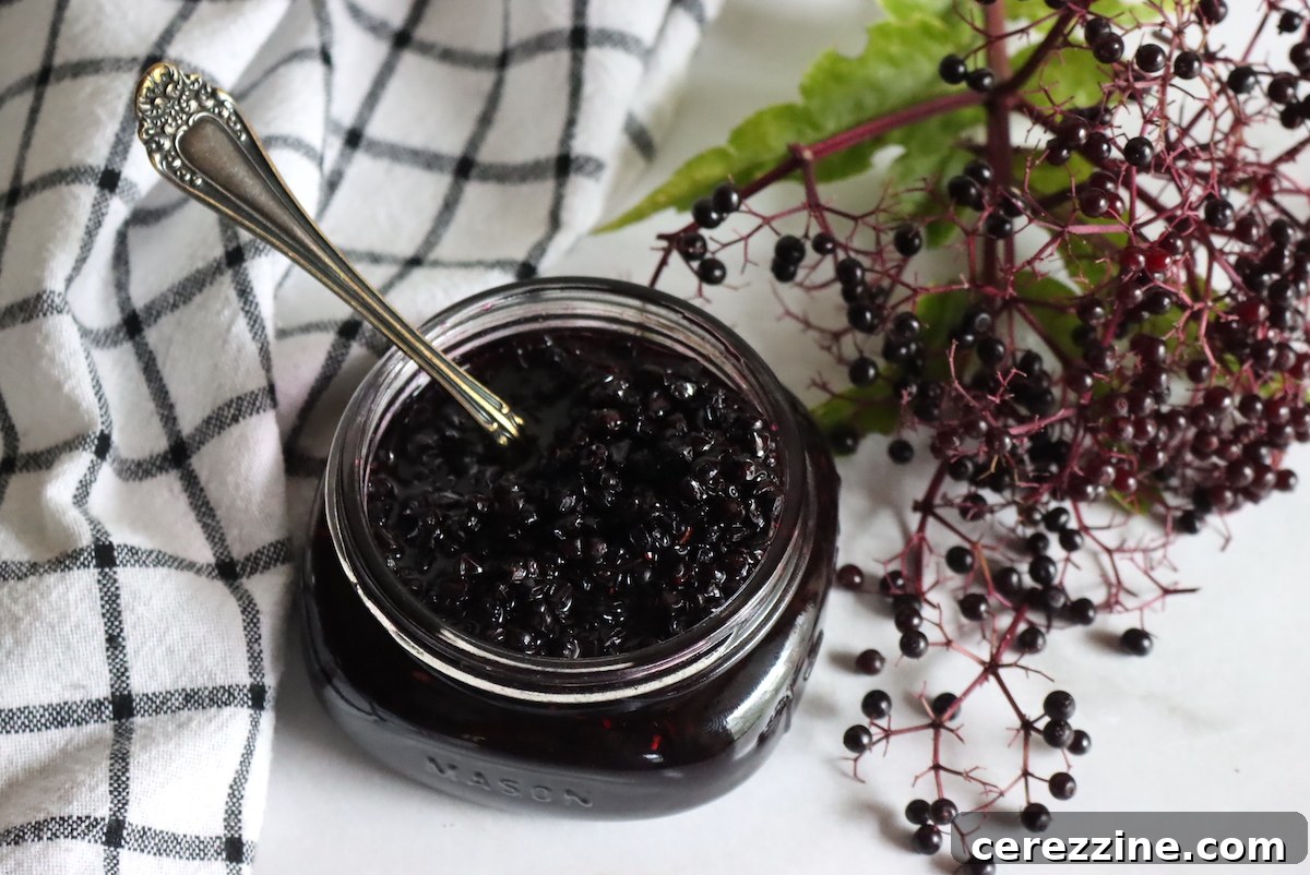 Homemade Elderberry Jam in Jars