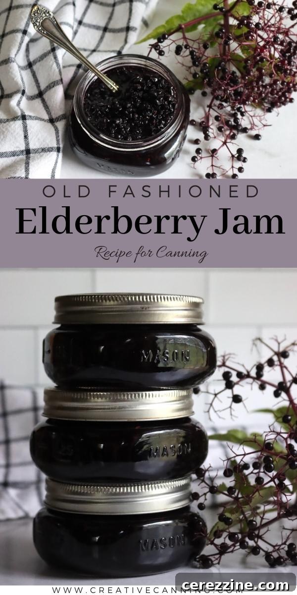 How to Make Elderberry Jam: Finished Product