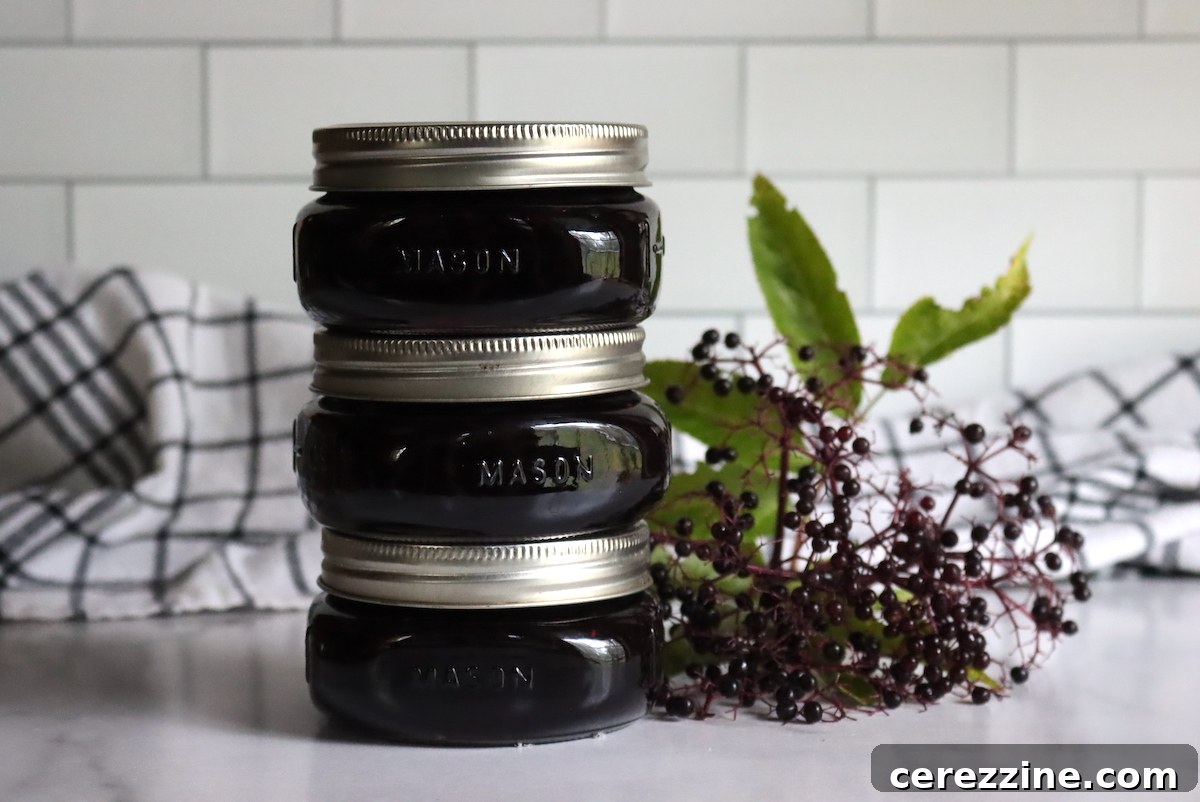 Fresh Elderberries Ready for Jam Making