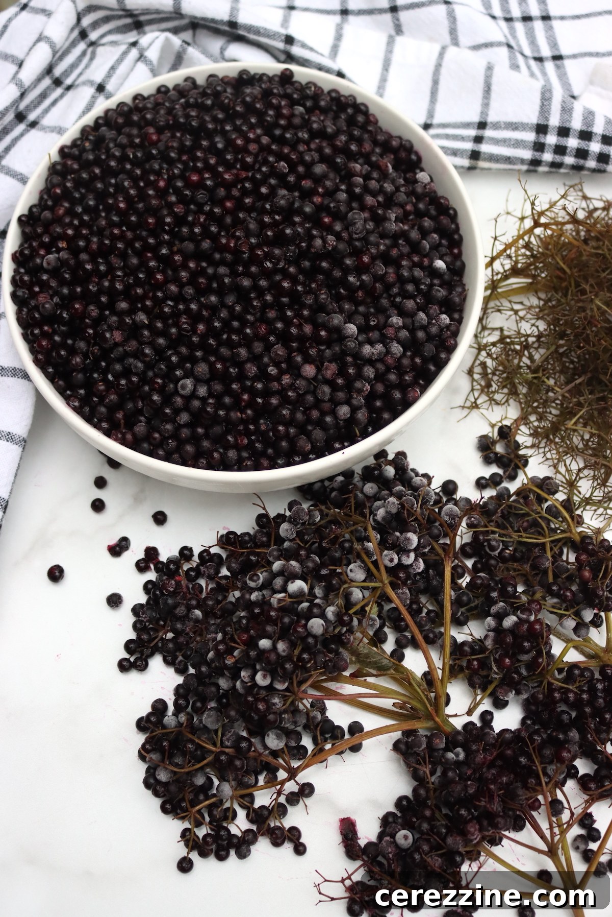 Method for De-stemming Frozen Elderberries