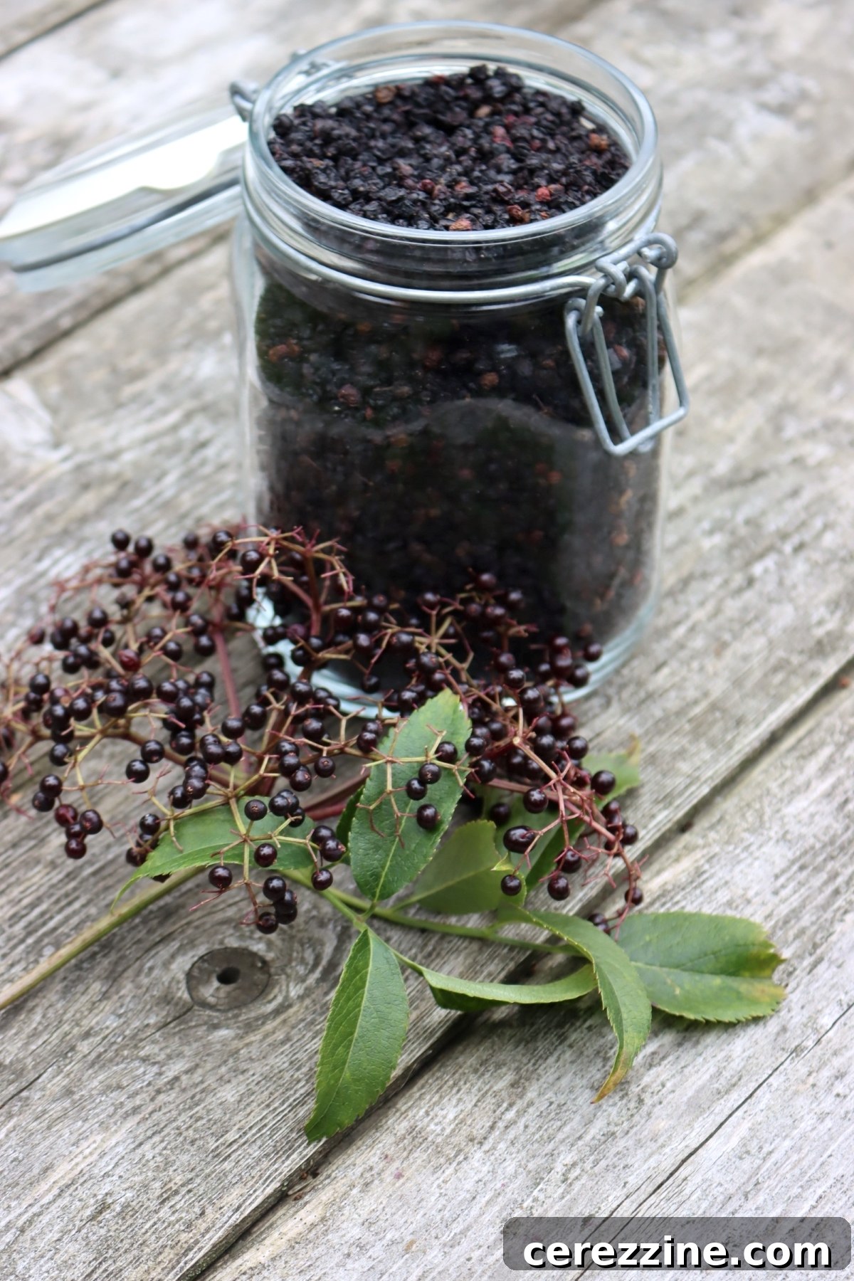 Dried Elderberries for Jam