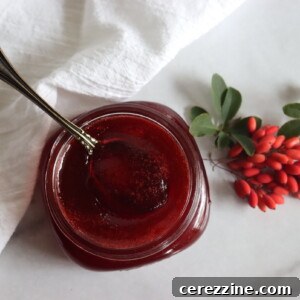 Barberry Jam