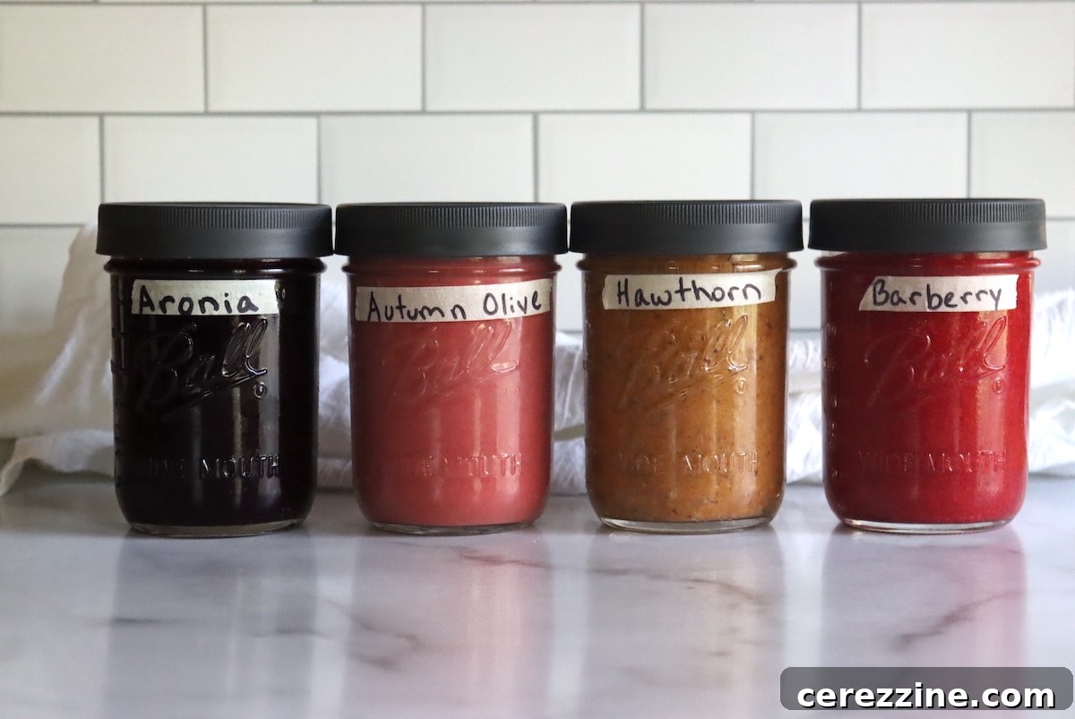 Assortment of Wild Fruit Purees and Juices