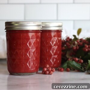 Wild Autumn Olive Preserve 11 Autumn Olive Jam