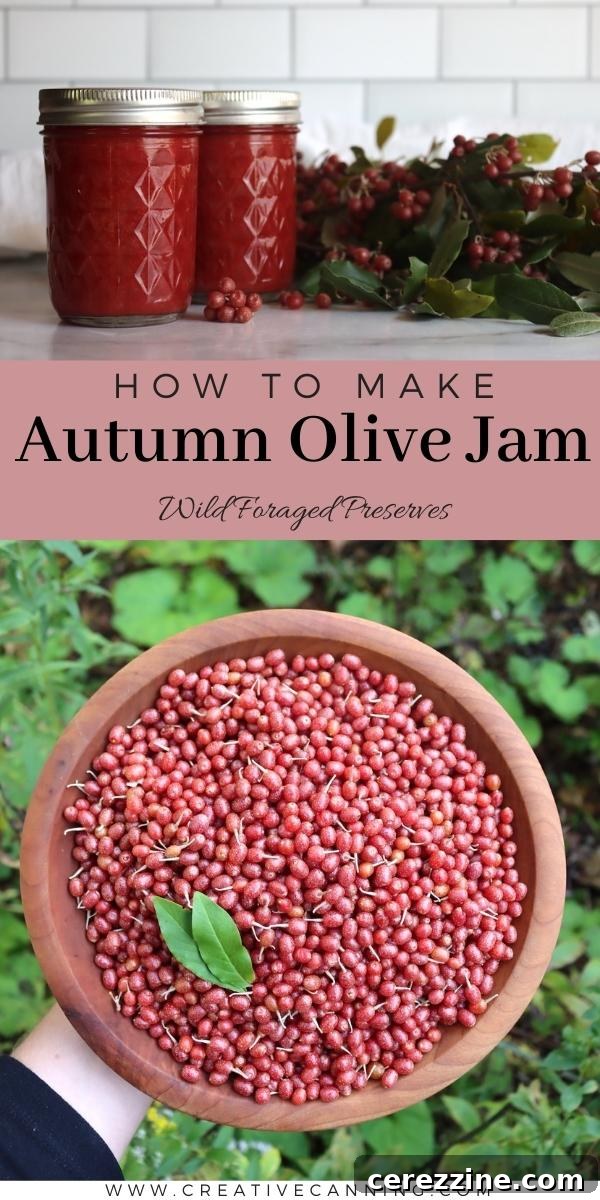 Wild Autumn Olive Preserve 12 How to Make Autumn Olive Jam - Final Jars