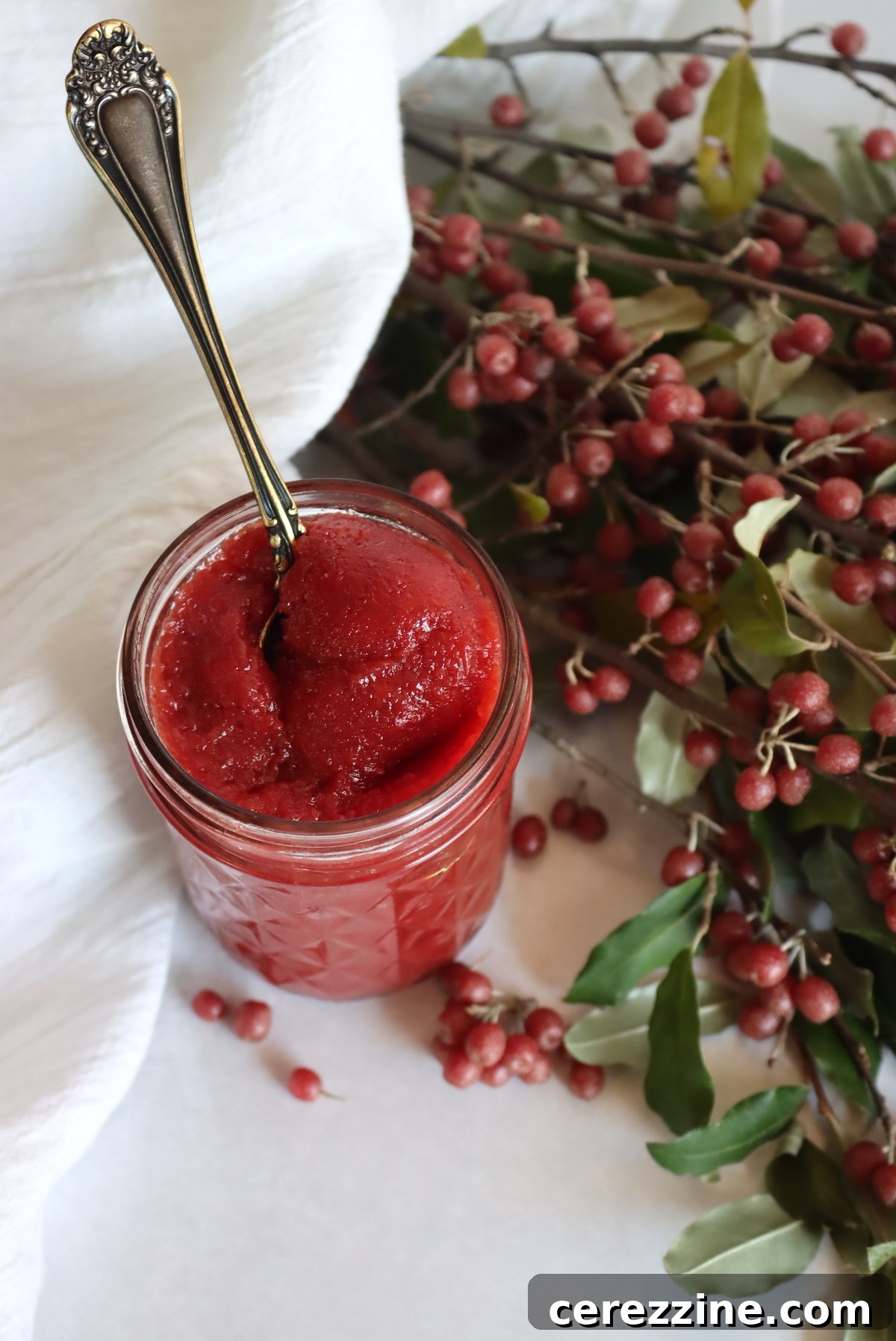 Wild Autumn Olive Preserve 9 Freshly Made Autumn Olive Jam in Jars