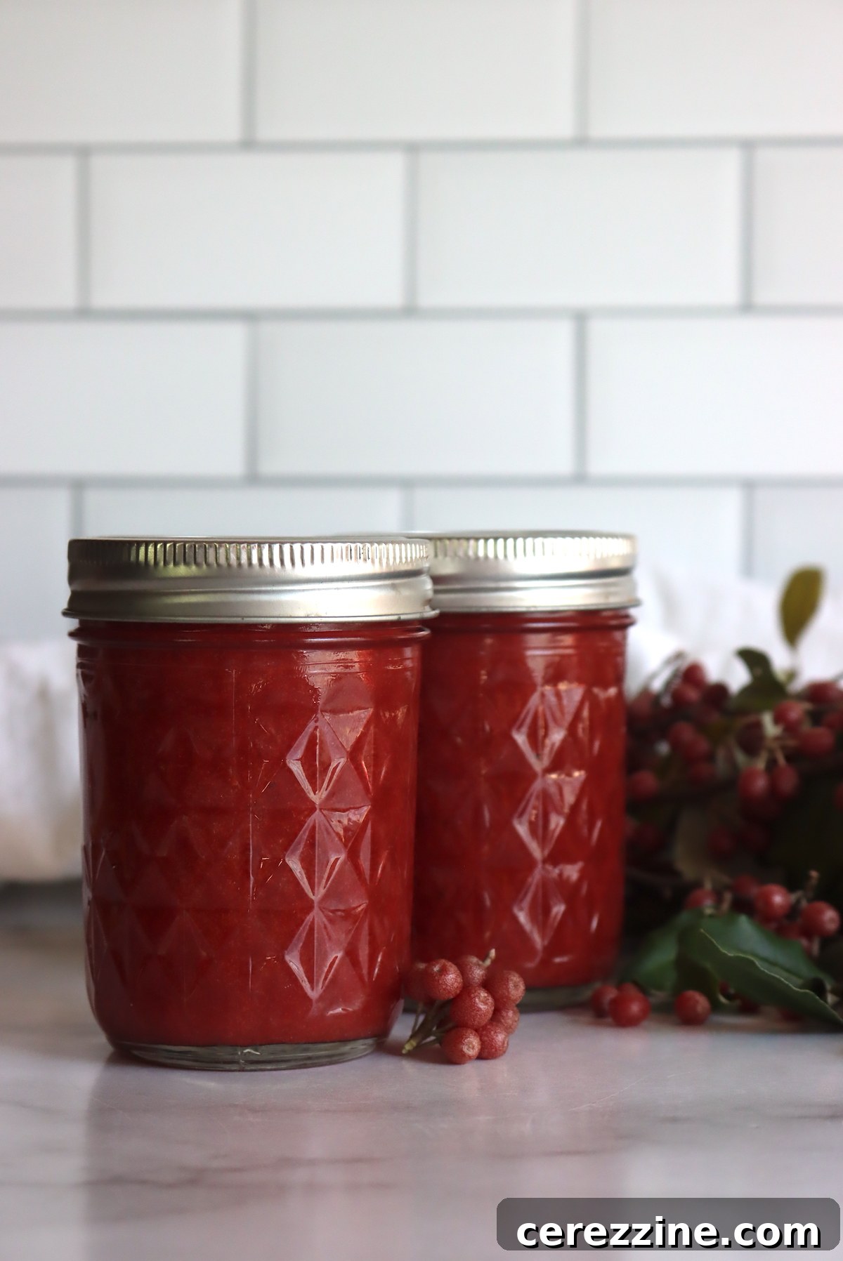 Wild Autumn Olive Preserve 10 Sealed Jars of Autumn Olive Jam After Canning