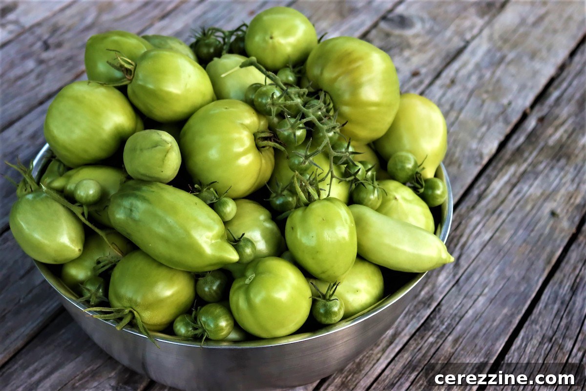 Over Two Dozen Green Tomato Canning Recipes 3 Green Tomato Recipes