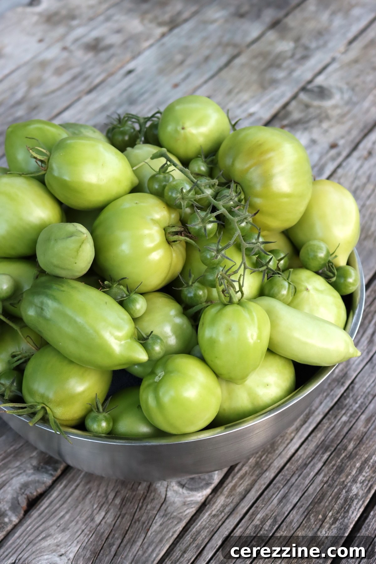 Over Two Dozen Green Tomato Canning Recipes 4 img 22691 3