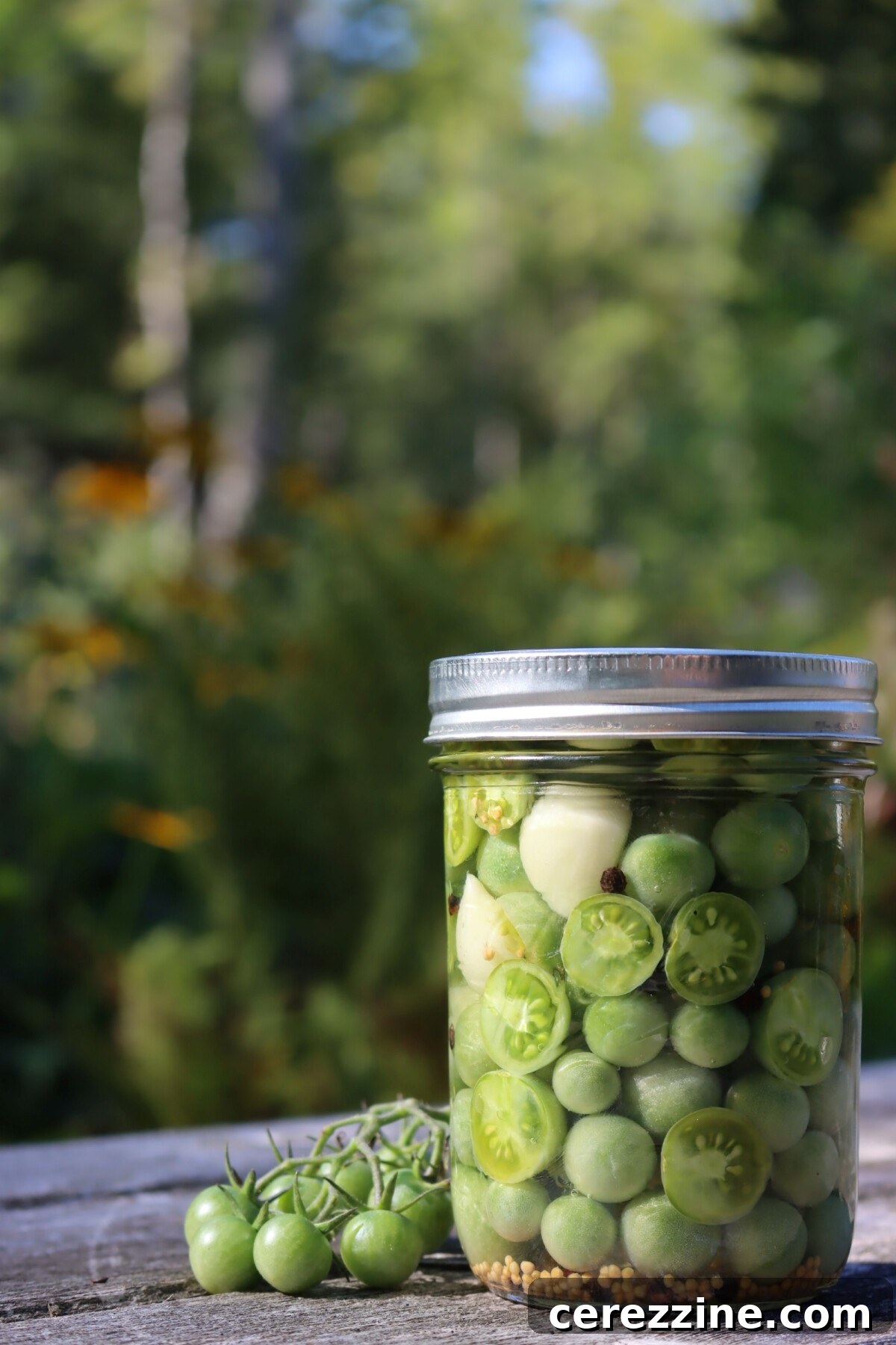 Over Two Dozen Green Tomato Canning Recipes 6 Green Tomato Pickles