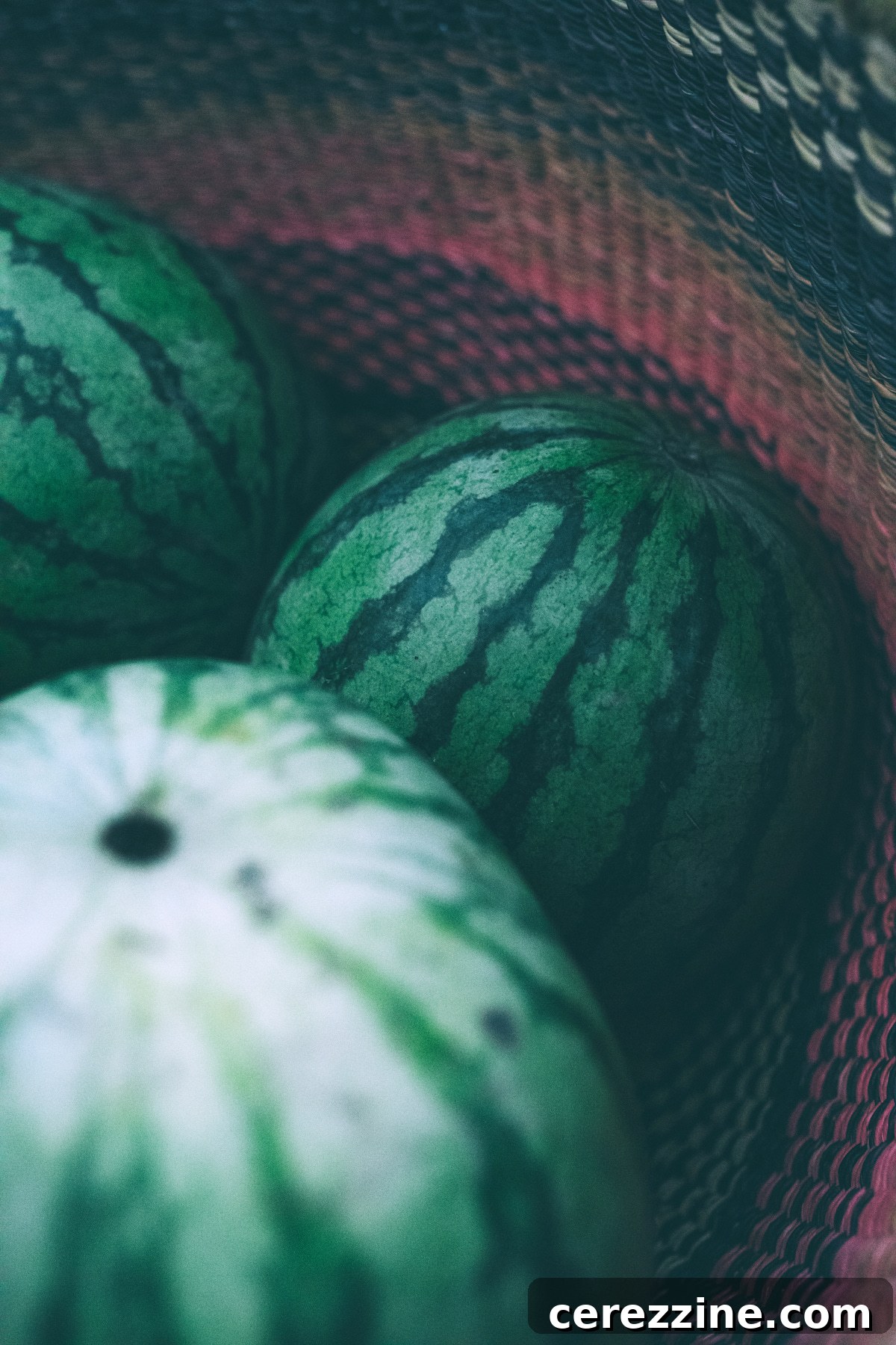 Karpuz Kabuğu Reçeli 7 Watermelons being prepared for canning, showing cuts