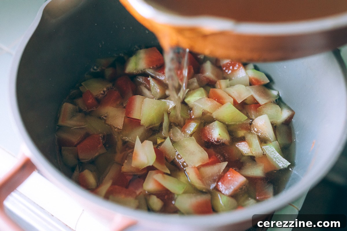 Adding Brine to Watermelon Slices