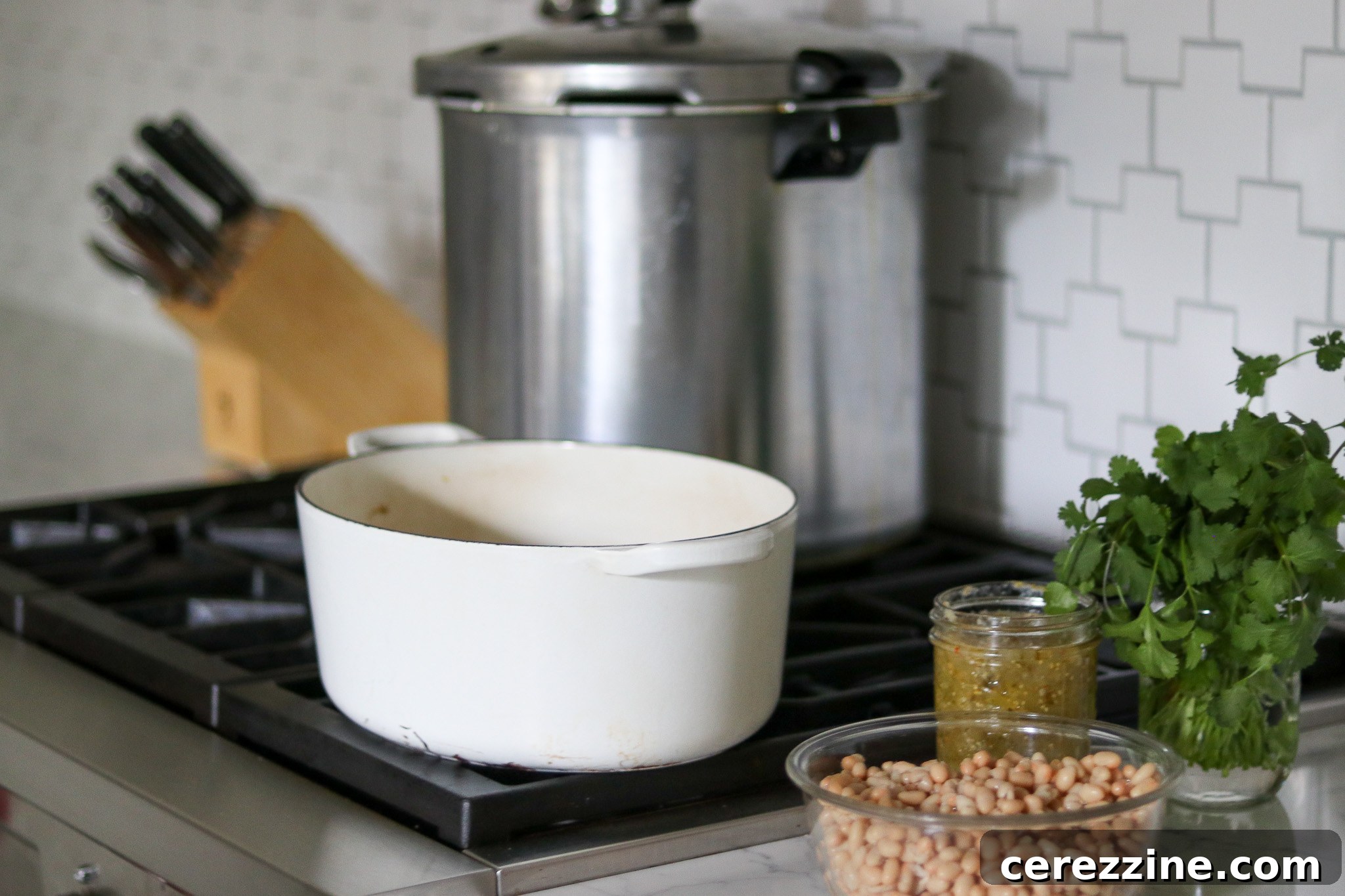 Making Chicken Chili Verde
