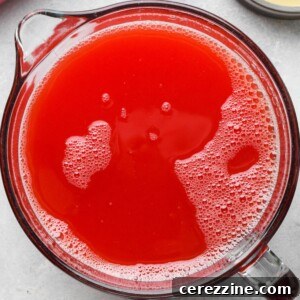 Watermelon Lemonade Concentrate