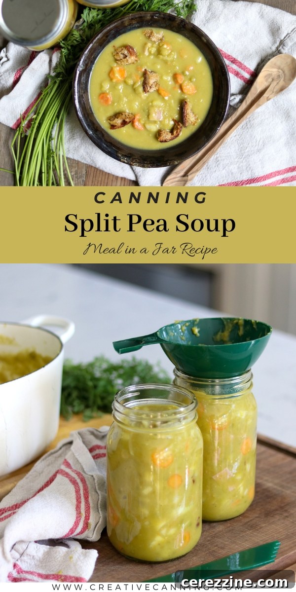 Hearty Homemade Split Pea Soup for Your Pantry 11 Pressure Canning Split Pea Soup