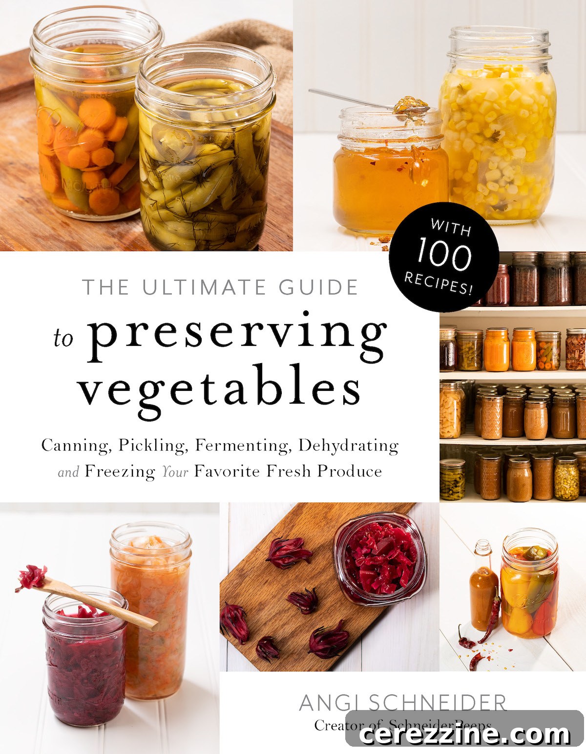 The Ultimate Guide to Preserving Vegetables by Angi Schneider
