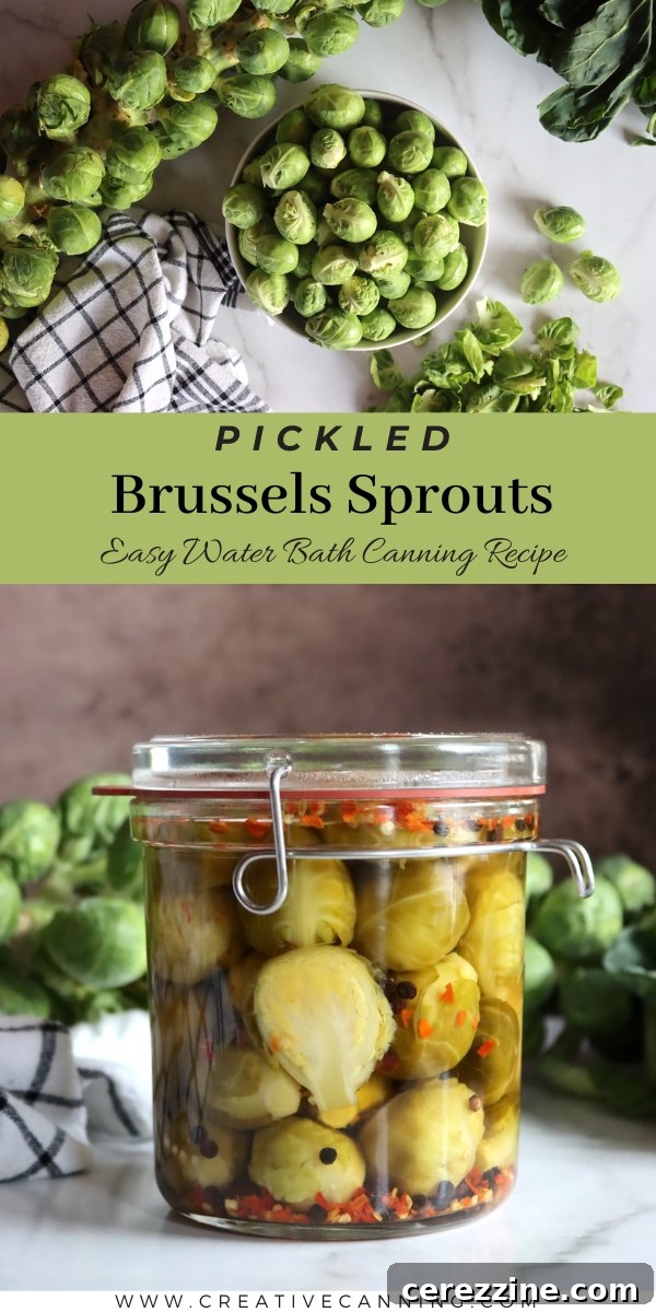 Pickled Brussels Sprouts Recipe