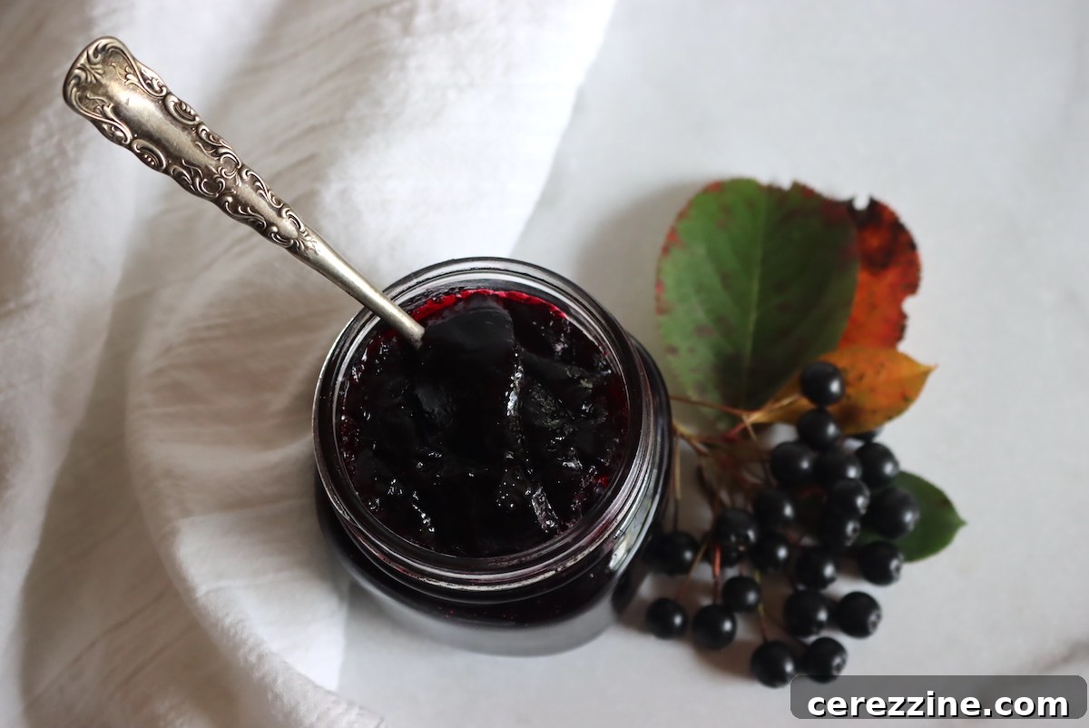 Artisan Aronia Preserve 2 Aronia Jelly