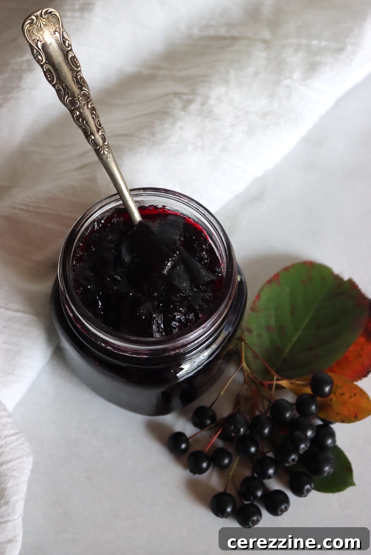 Artisan Aronia Preserve 6 Aronia Jelly