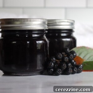 Artisan Aronia Preserve 8 Aronia Jelly
