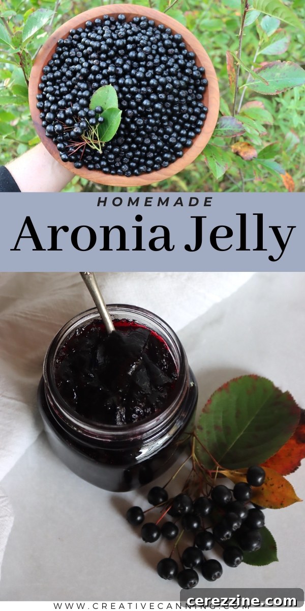 Aronia Jelly Recipe