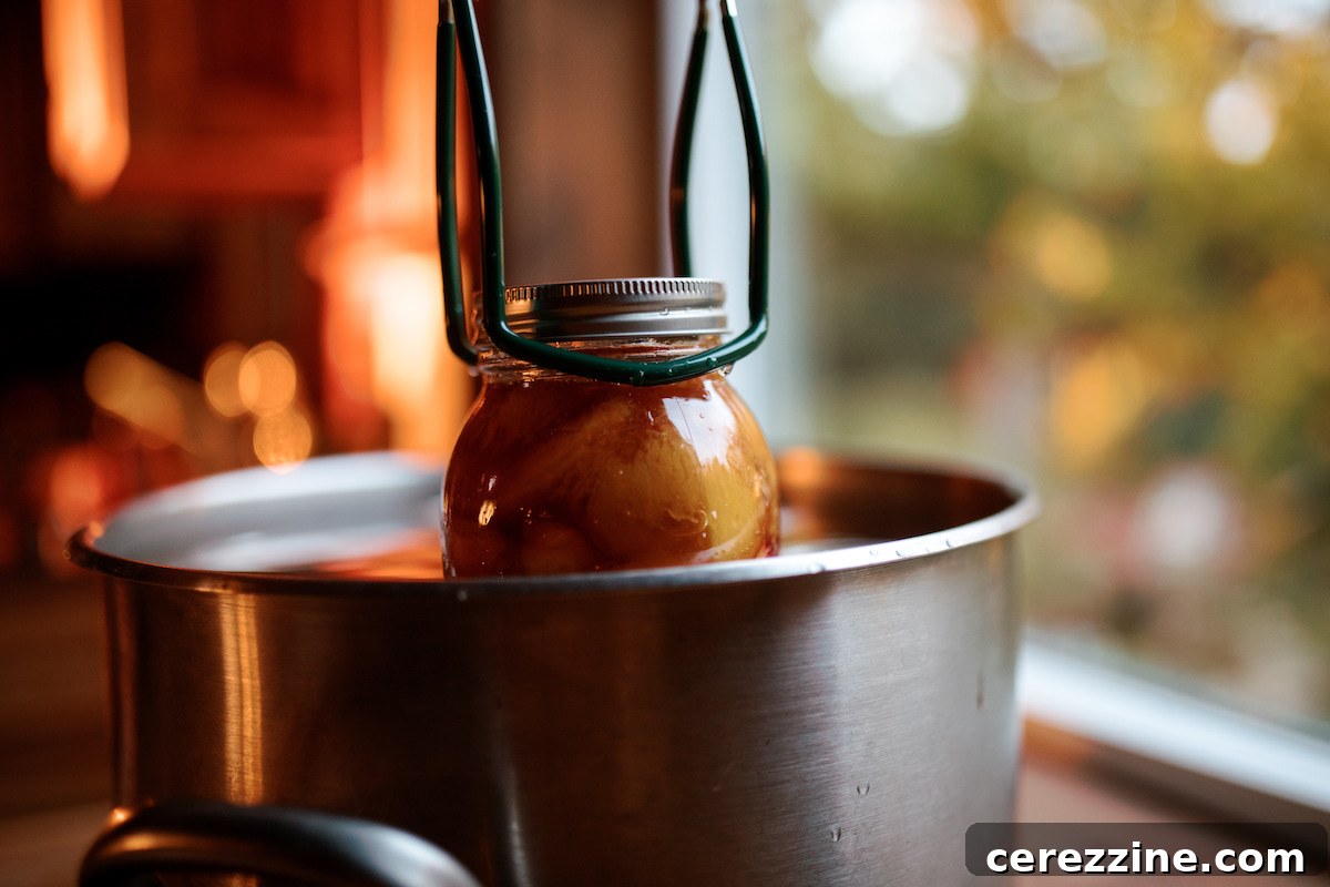 Putting Up Peaches 18 Water Bath Canning Peaches