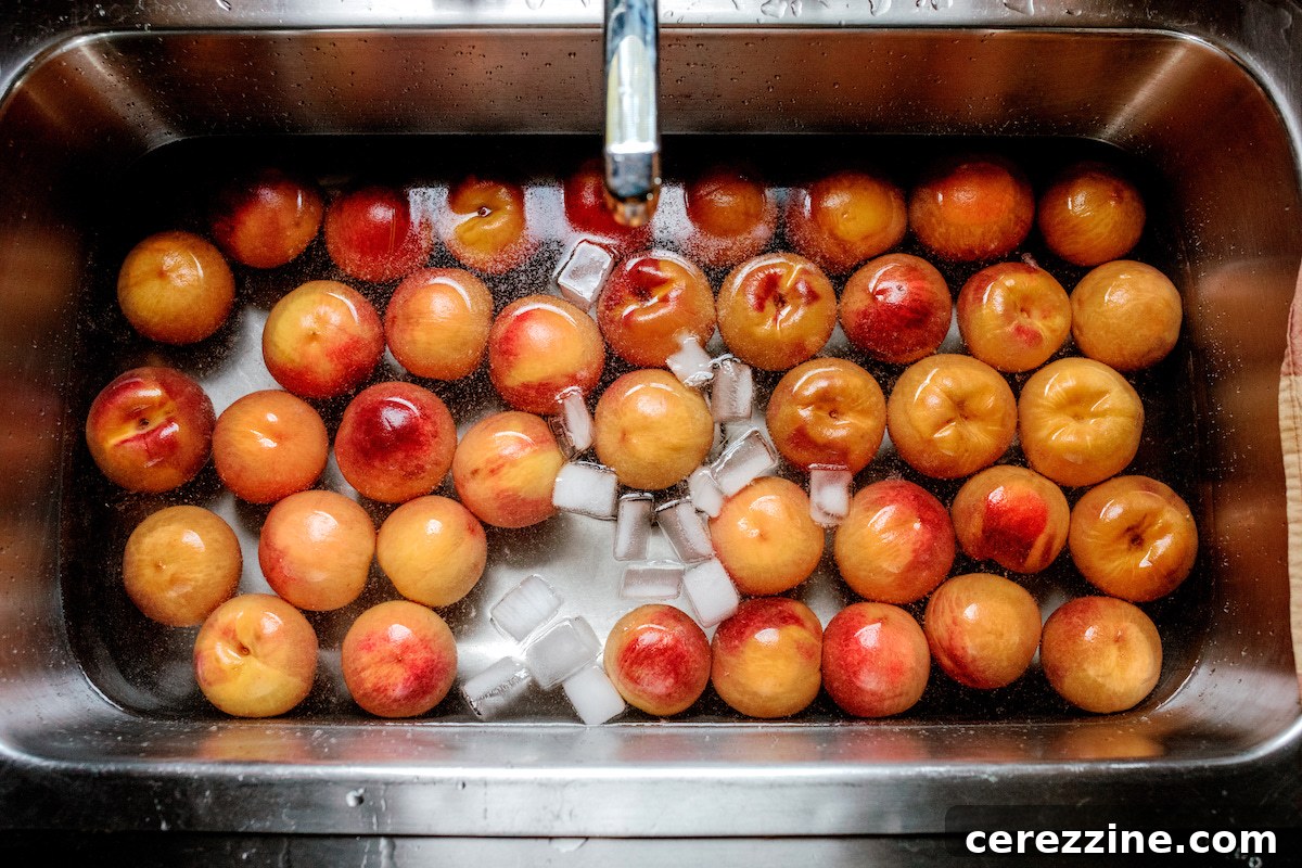 Putting Up Peaches 9 Ice Bath for Peaches after blanching to peel them for canning