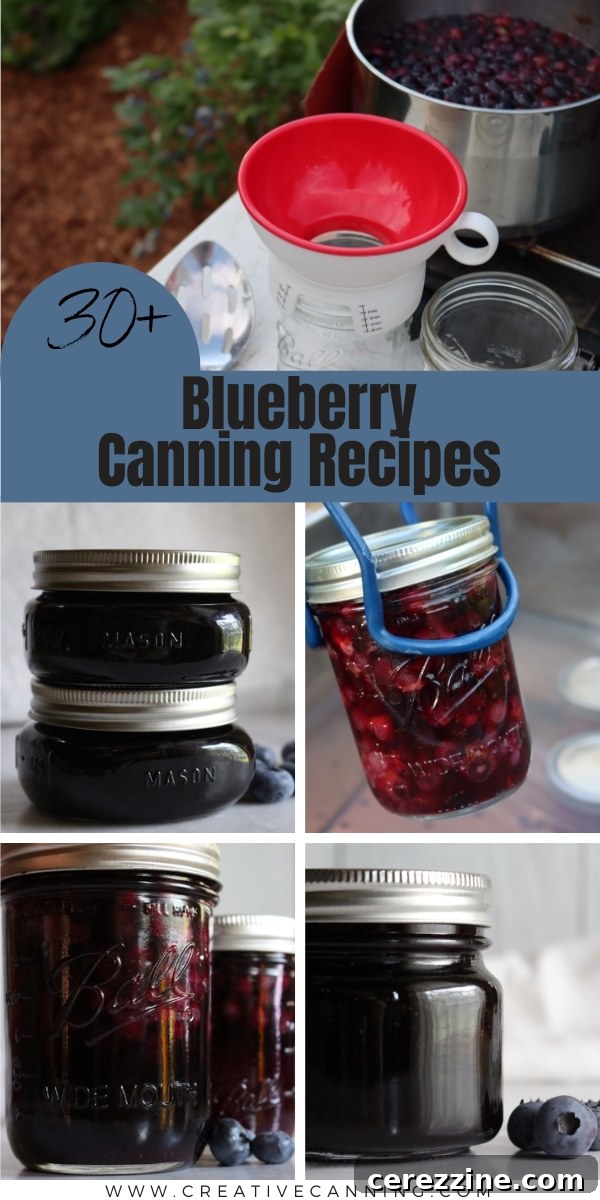 A collection of various canned goods including blueberry jars, showcasing a well-stocked pantry
