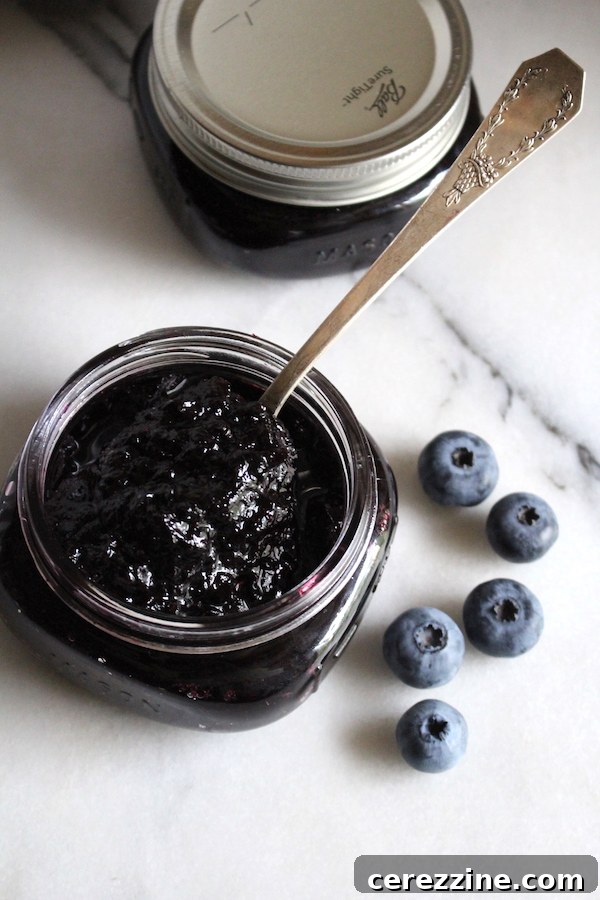 Assorted jars of homemade blueberry jam, showcasing the rich color and inviting texture