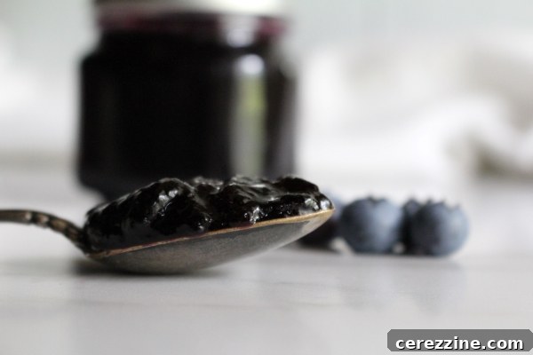 A spoon laden with homemade blueberry jelly, showcasing its smooth texture and rich color