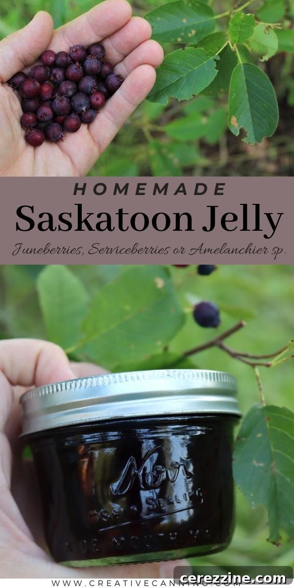 Stacked jars of homemade Saskatoon Jelly, showcasing the beautiful color