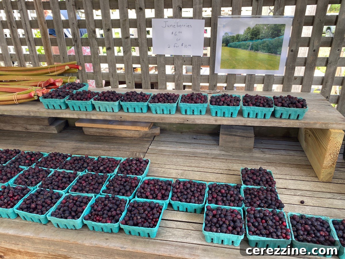 Prairie Wild Saskatoon Jelly 4 Saskatoons for Sale