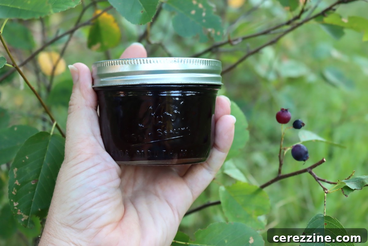 Multiple jars of vibrant Saskatoon Berry Jelly on a shelf