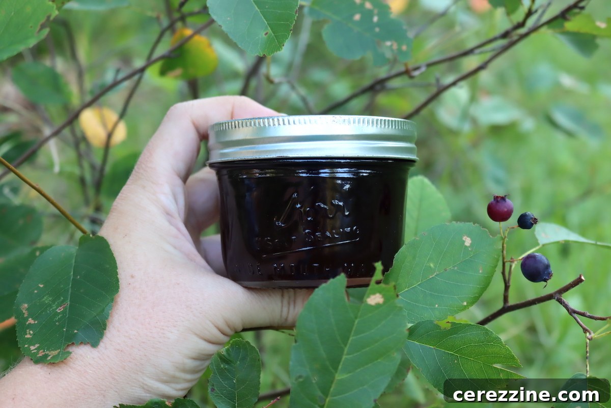 Freshly canned Saskatoon Berry Jelly jars with a spoon on toast