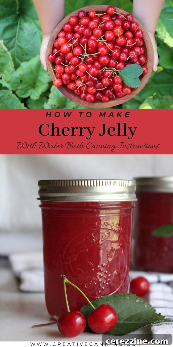 Crimson Cherry Delight 9 Homemade Cherry Jelly