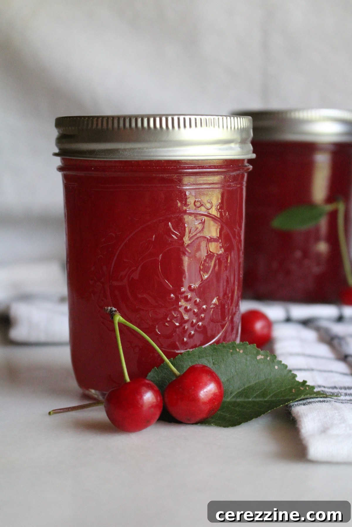 Crimson Cherry Delight 8 Cherry Jelly