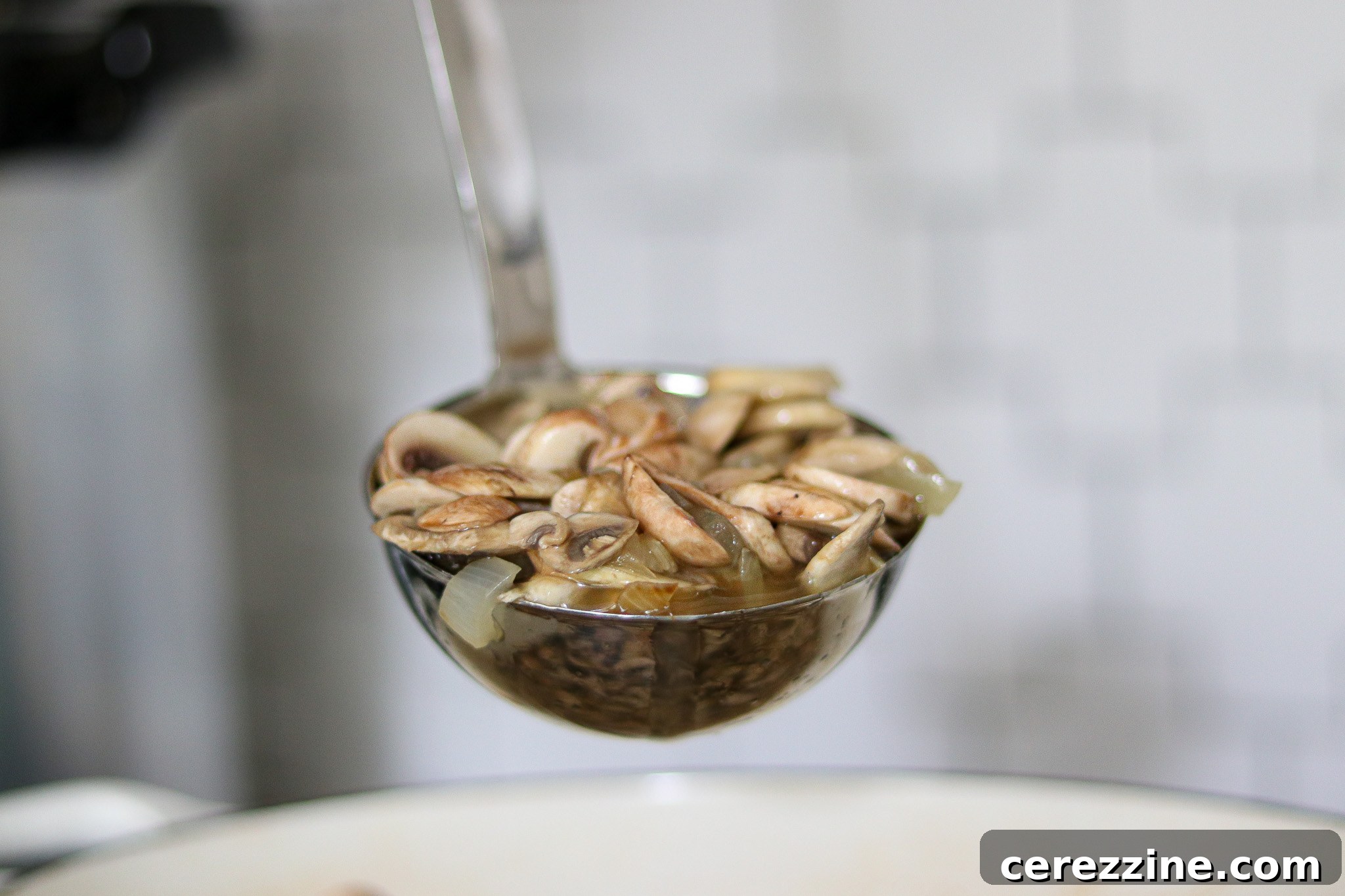 Pantry-Ready Mushroom Soup Base 17 Scoop of Mushroom Soup