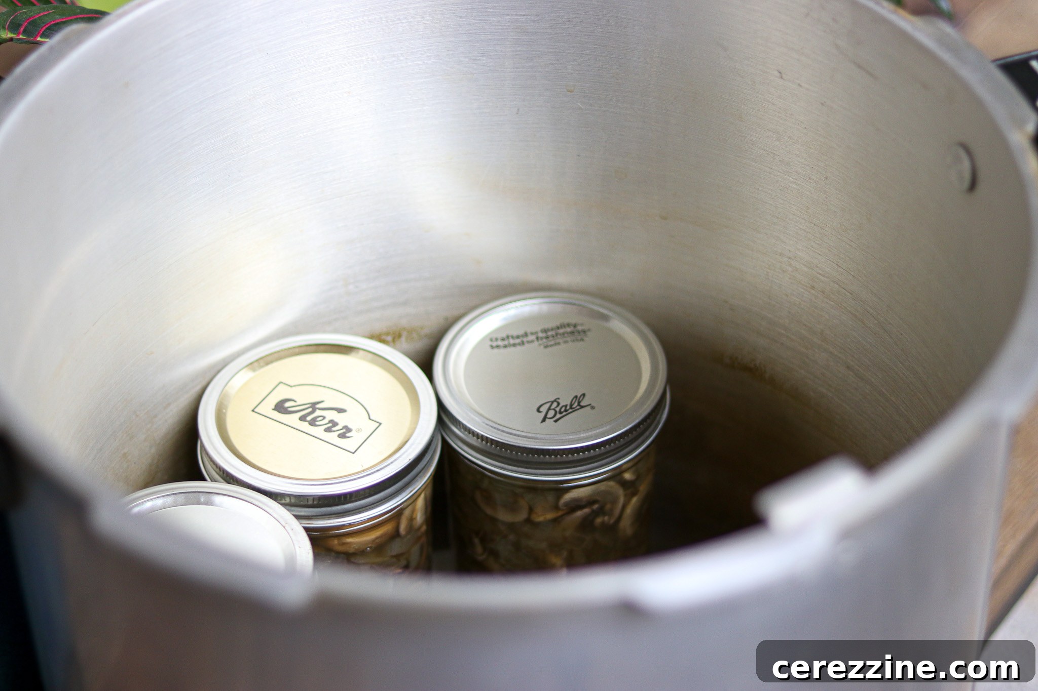 Pantry-Ready Mushroom Soup Base 20 Canning Cream of Mushroom Soup Base