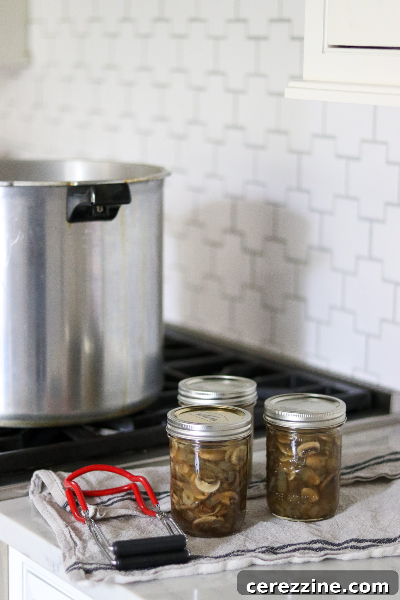 Pantry-Ready Mushroom Soup Base 21 Canned Cream of Mushroom Soup