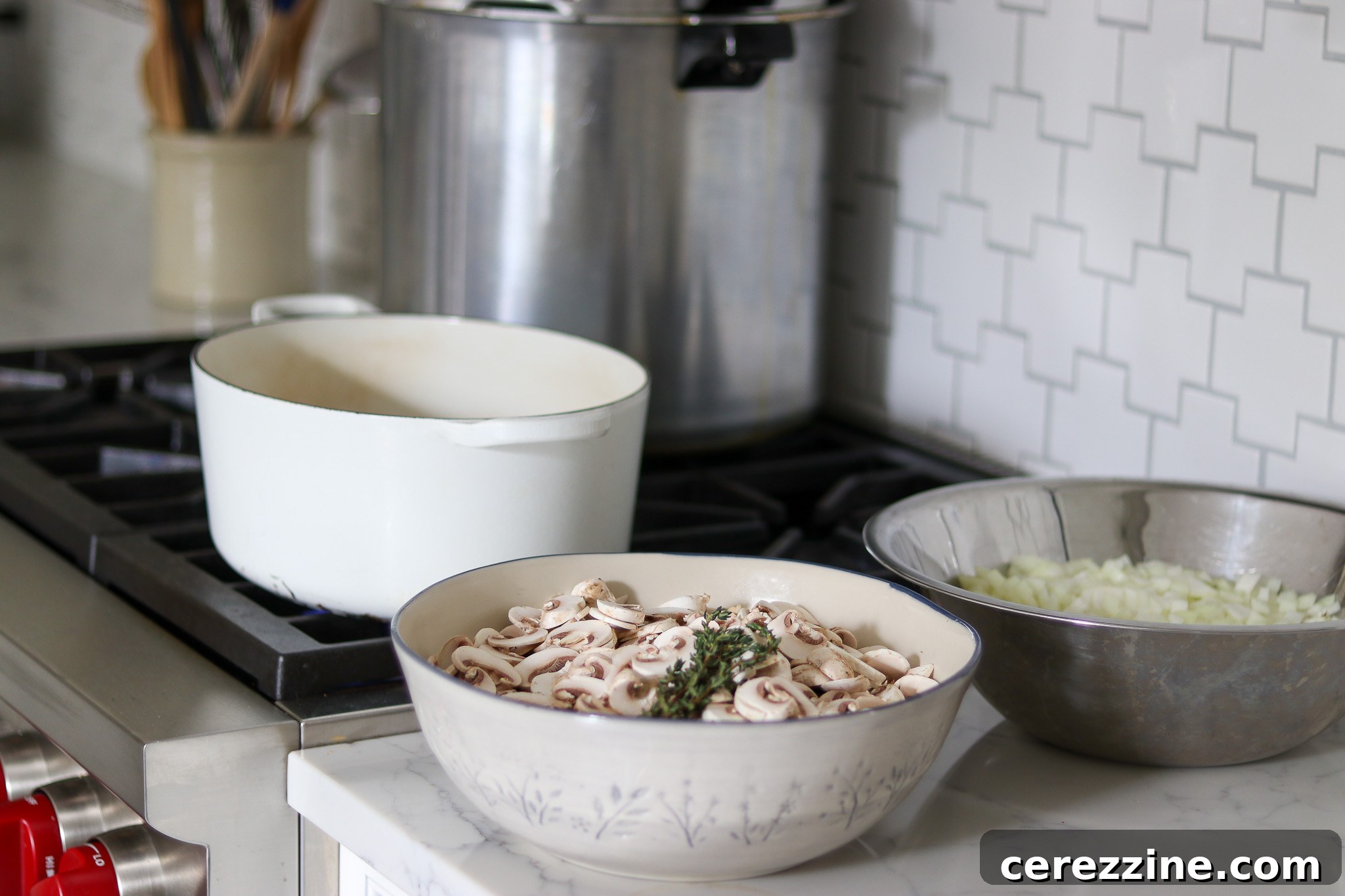 Pantry-Ready Mushroom Soup Base 23 img 23546 22